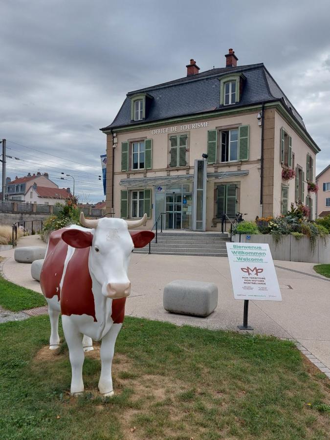 Appart' Duchatelain Lumineux, Vue Sur Chateau Montbéliard Eksteriør billede